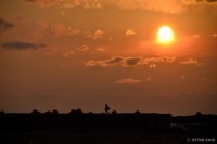 /album/photo-gallery-silhouette/%e7%9f%b3%e7%8b%a9%e6%b5%9c%e3%81%ab%e3%81%a6%e3%80%804s-jpg1/